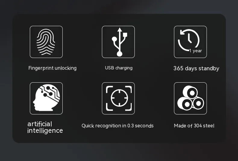 USB Style Fingerprint Lock for Bags/Cases