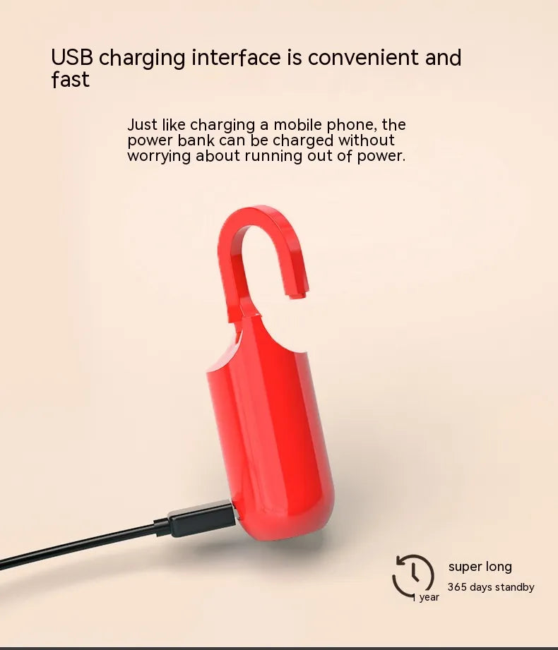 USB Style Fingerprint Lock for Bags/Cases