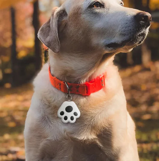 PawGuard Pet Tracker - 8 Colours